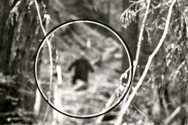 Southeast Texas Bigfoot Conference Comes To Huntsville