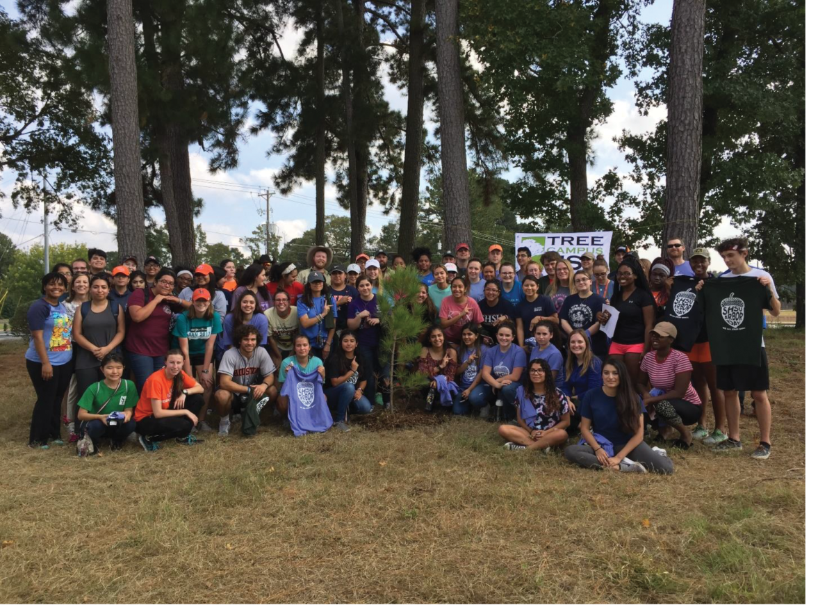 Texas Arbor Day Celebrated by Planting Trees