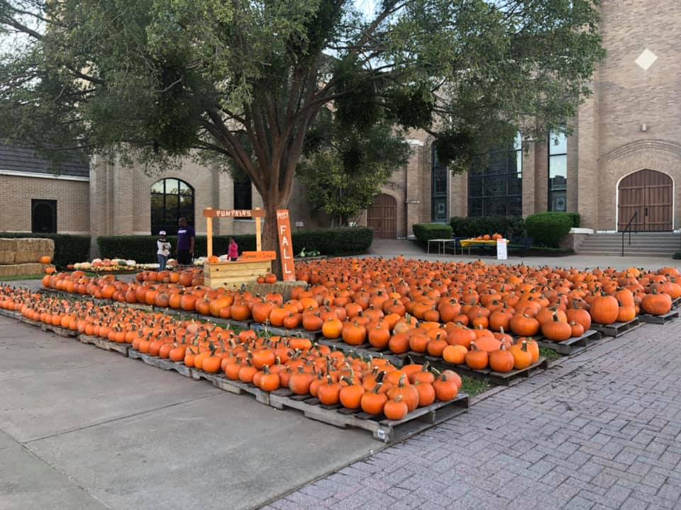 Halloween Festivities for Huntsville Locals