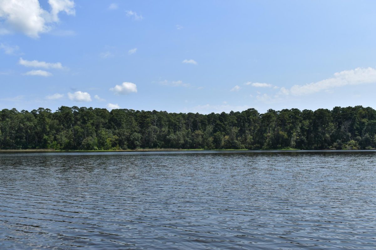 Huntsville State Park is home to Lake Raven, a 210-acre lake that offers swimming, fishing and boating opportunities.