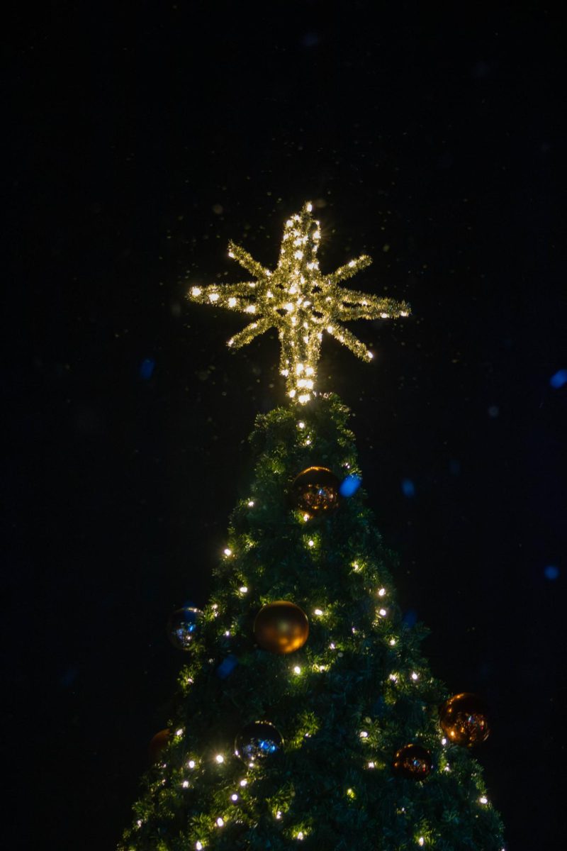 Tradition, community service at heart of SHSU's Tree of Light ceremony